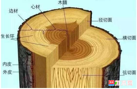 木材有哪些基本性质特点?【批木网】