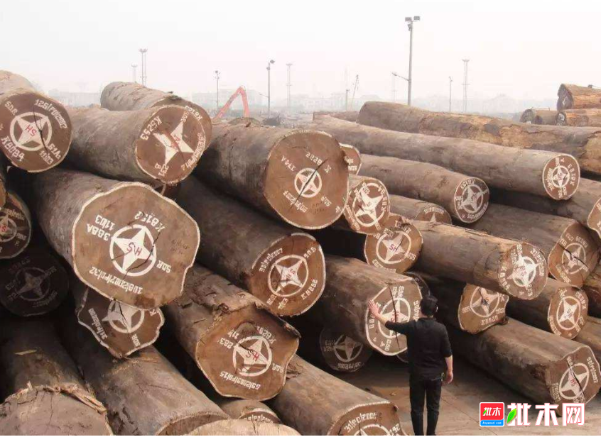 anywood.com