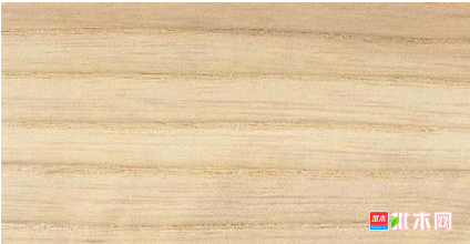 anywood.com