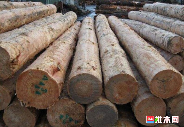 anywood.com