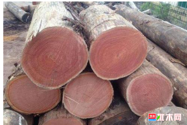 anywood.com
