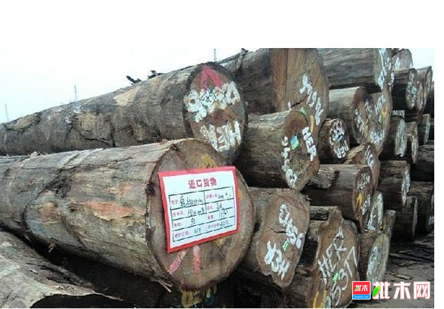 anywood.com