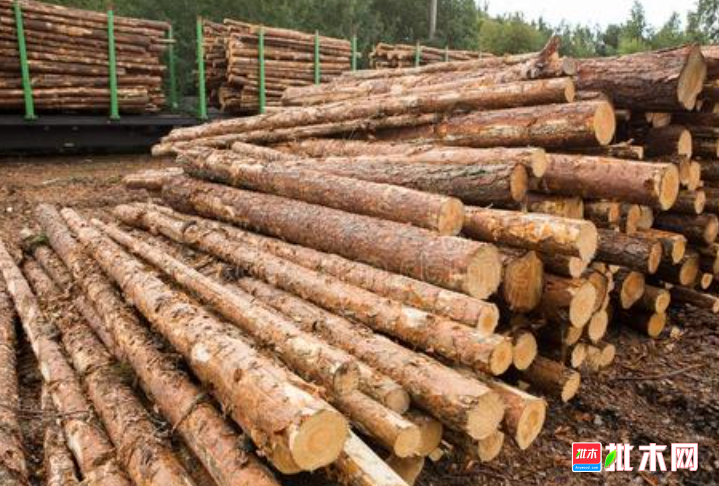 anywood.com