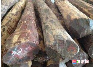 anywood.com
