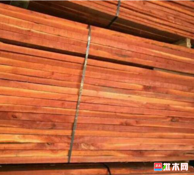 anywood.com