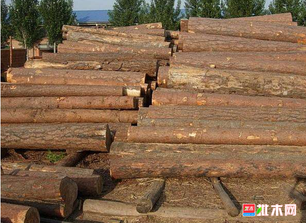 anywood.com