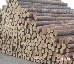 anywood.com