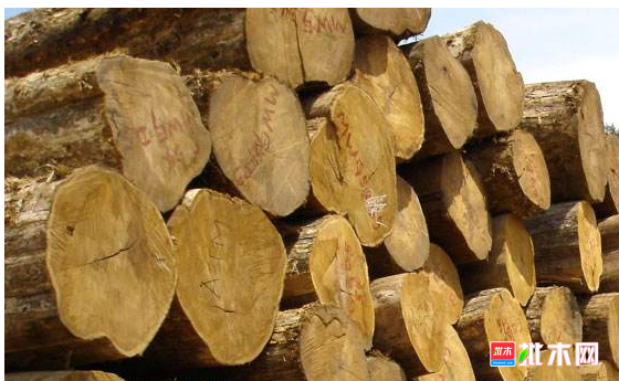 anywood.com
