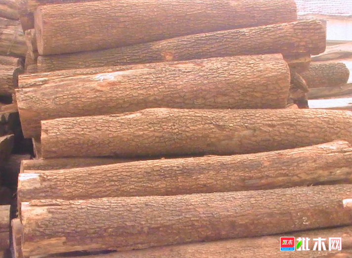 anywood.com
