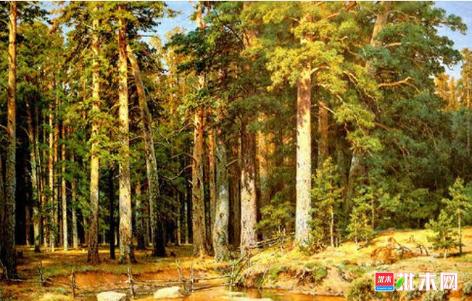 anywood.com
