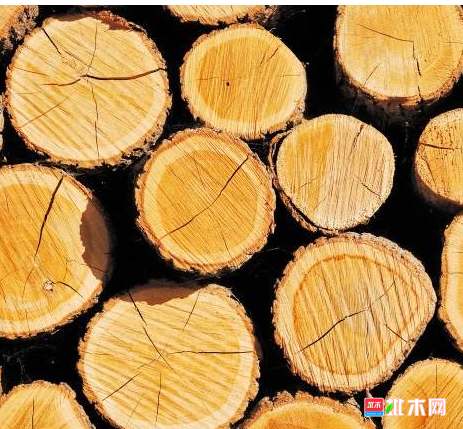 anywood.com