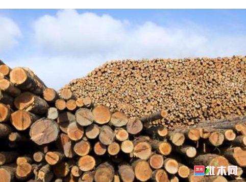 anywood.com