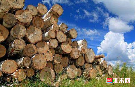 anywood.com