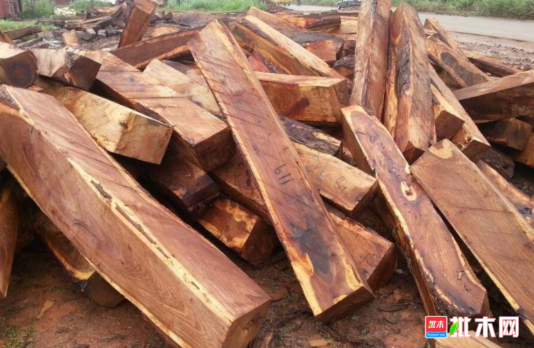 anywood.com