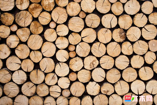 anywood.com