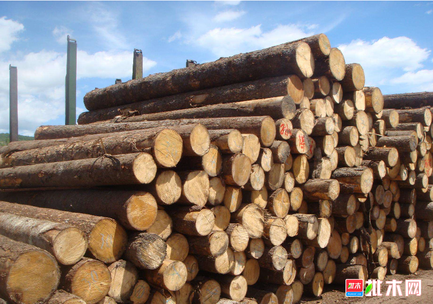 anywood.com