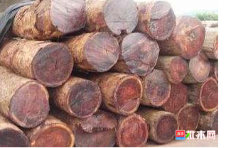 anywood.com