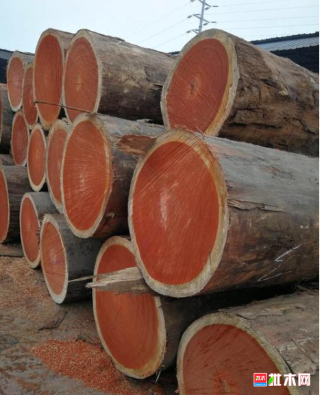 anywood.com