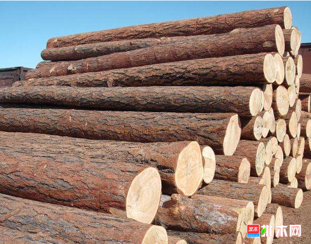 anywood.com