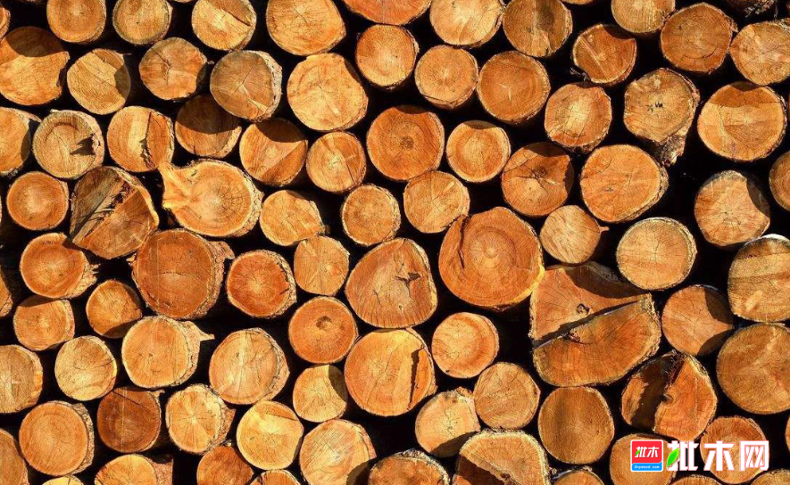 anywood.com
