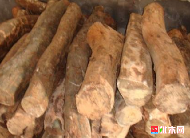 anywood.com