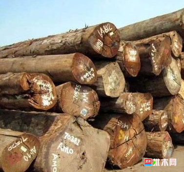 anywood.com