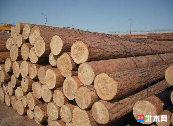 anywood.com