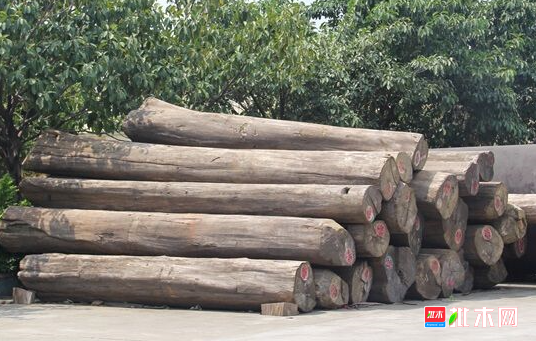 anywood.com
