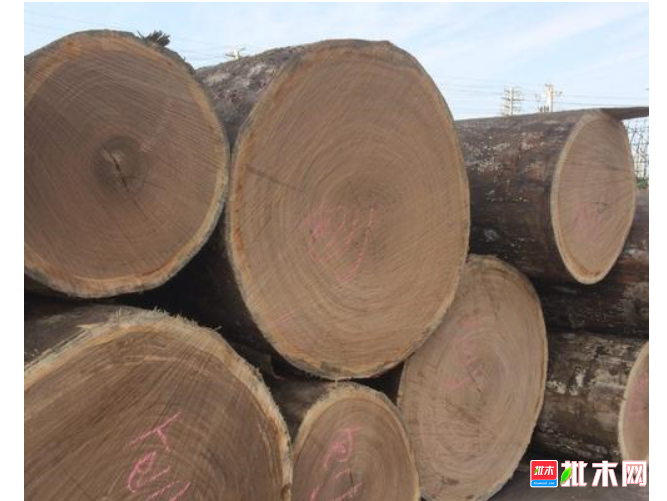 anywood.com