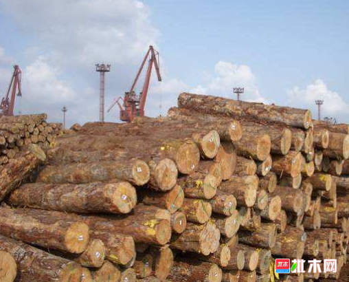 anywood.com