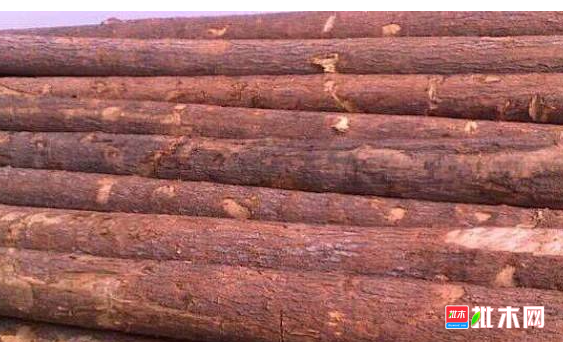 anywood.com