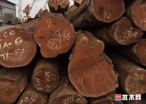 anywood.com
