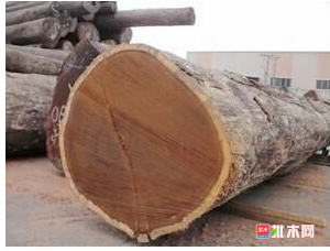 anywood.com