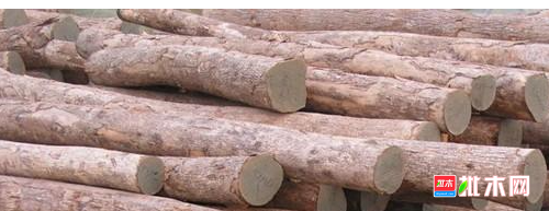 anywood.com 