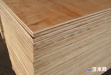 anywood.com