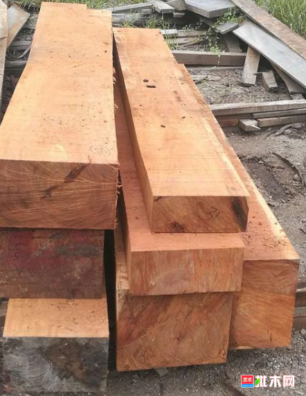 anywood.com