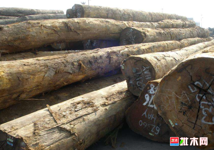 anywood.com