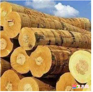 anywood.com