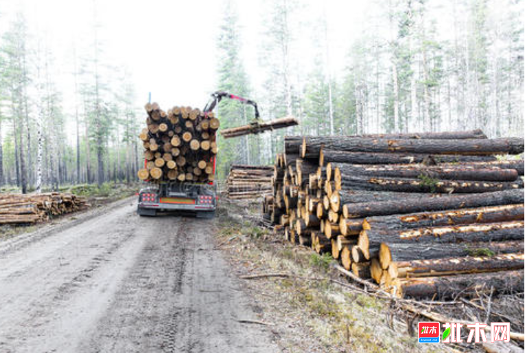 anywood.com