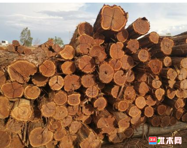 anywood.com