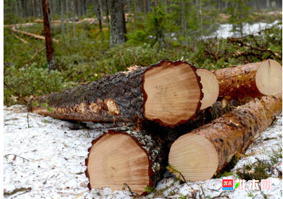anywood.com