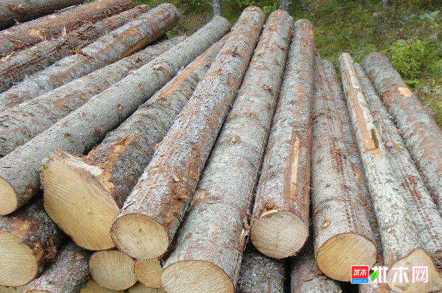 anywood.com