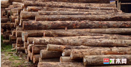 anywood.com