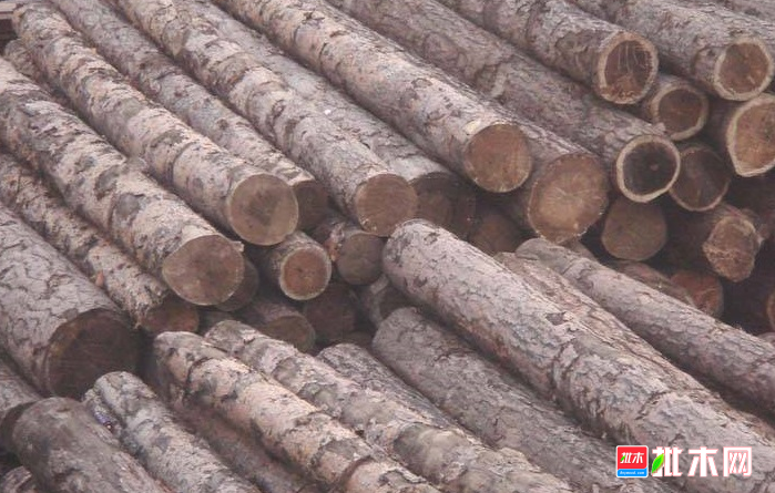 anywood.com