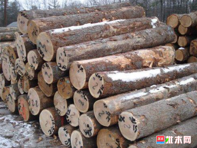 anywood.com