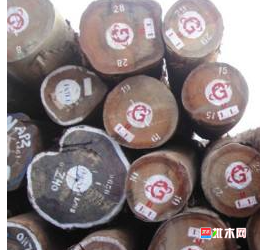 anywood.com