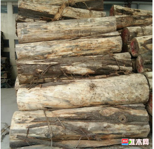 anywood.com