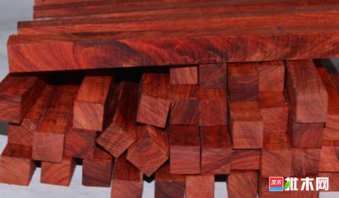 anywood.com