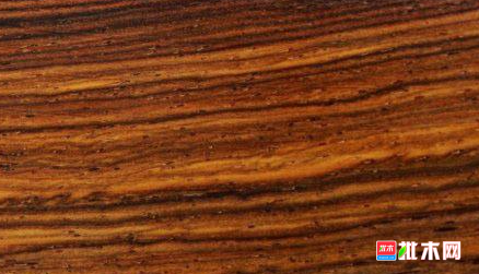 anywood.com