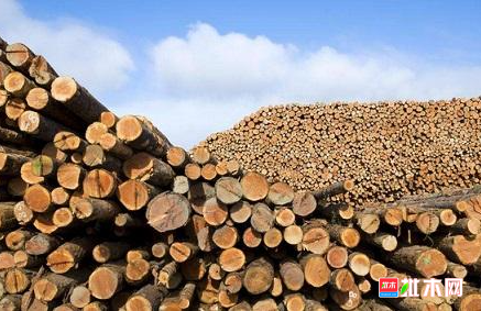 anywood.com